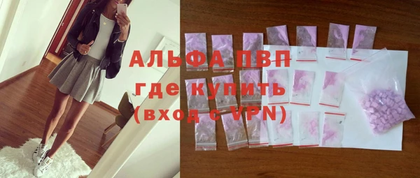 индика Верхний Тагил