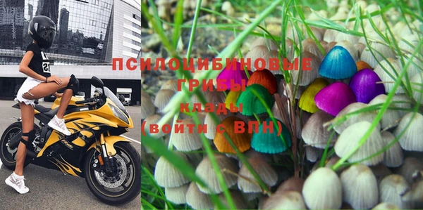 первитин Осинники