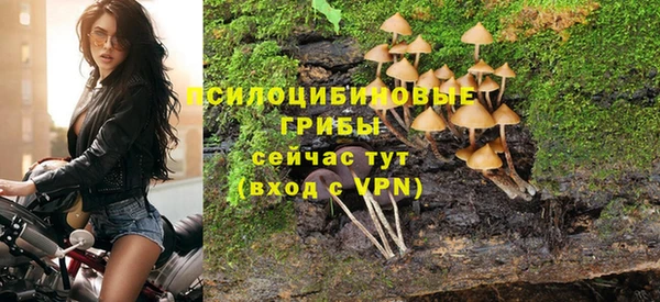 первитин Осинники