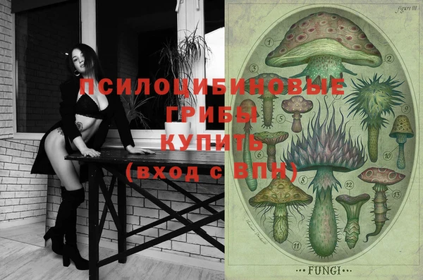 первитин Осинники