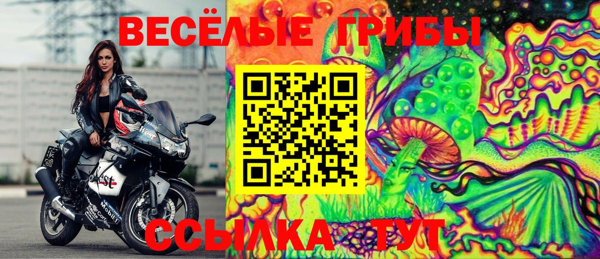 Гашиш  Алушта  НБОМе  МЕФ кристаллы  Вход с VPN 