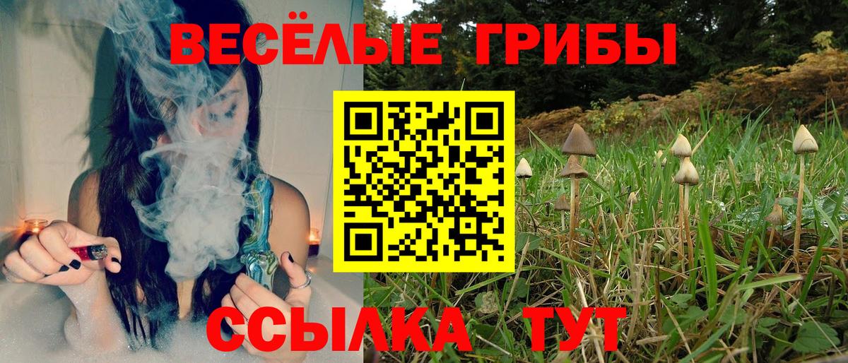 Галлюциногенные грибы мухоморы Алушта